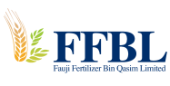 FFBLLogo